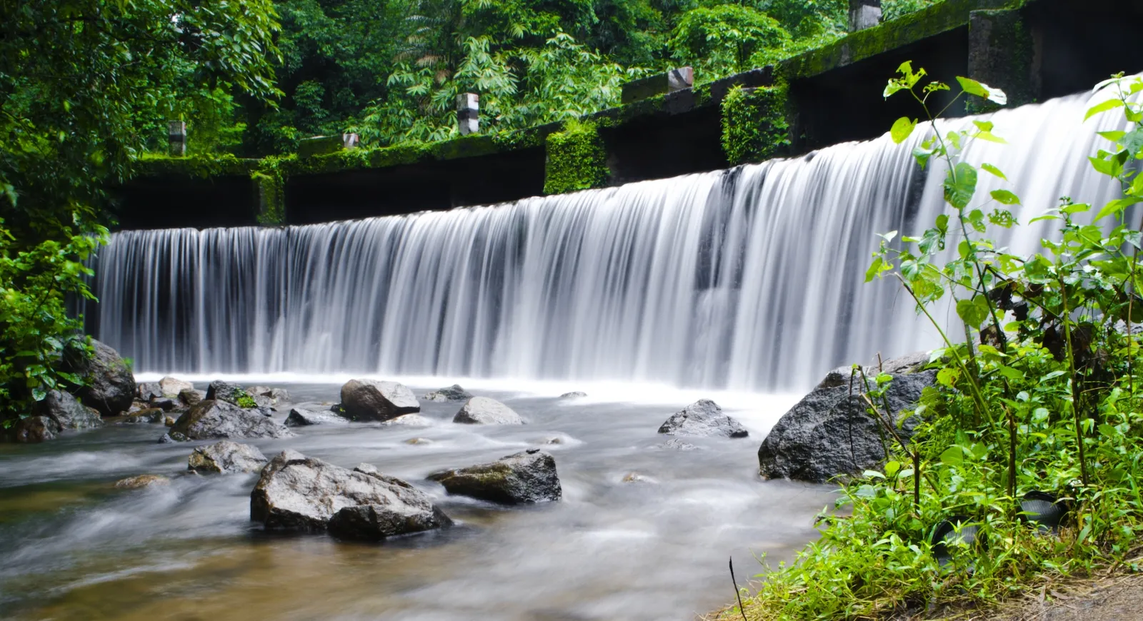 Photograph by Manikandan